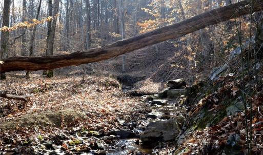 Photo #22 of Off of NC Highway 700, Pelham, NC 116.9 acres