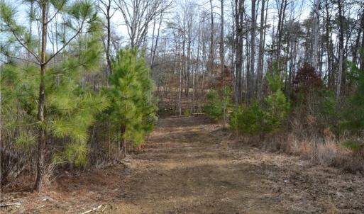 Photo #3 of Off of NC Highway 700, Pelham, NC 116.9 acres