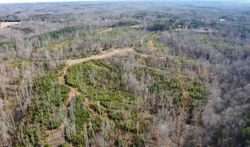 Photo #36 of Off of NC Highway 700, Pelham, NC 116.9 acres