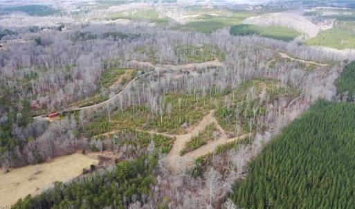 Photo #32 of Off of NC Highway 700, Pelham, NC 116.9 acres