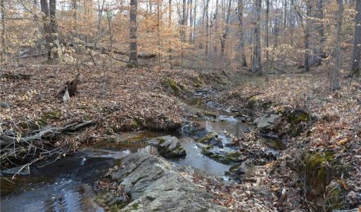 Photo #1 of Off of NC Highway 700, Pelham, NC 116.9 acres