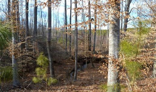 Photo #28 of Off of NC Highway 700, Pelham, NC 116.9 acres