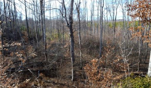 Photo #20 of Off of NC Highway 700, Pelham, NC 116.9 acres