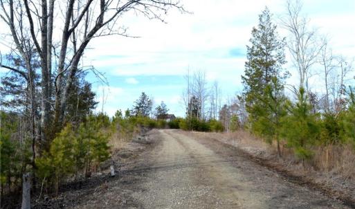 Photo #9 of Off of NC Highway 700, Pelham, NC 116.9 acres