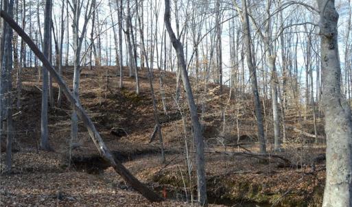 Photo #24 of Off of NC Highway 700, Pelham, NC 116.9 acres