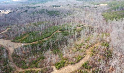 Photo #30 of Off of NC Highway 700, Pelham, NC 116.9 acres