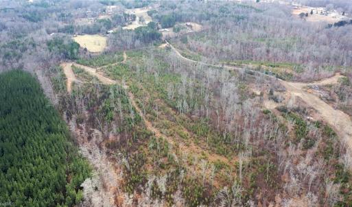 Photo #34 of Off of NC Highway 700, Pelham, NC 116.9 acres