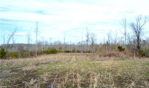 Photo #10 of Off of NC Highway 700, Pelham, NC 116.9 acres