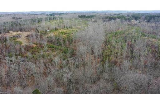Photo #33 of Off of NC Highway 700, Pelham, NC 116.9 acres