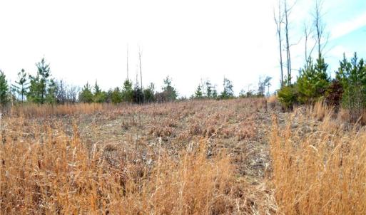 Photo #15 of Off of NC Highway 700, Pelham, NC 116.9 acres