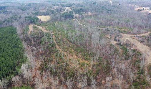 Photo #35 of Off of NC Highway 700, Pelham, NC 116.9 acres