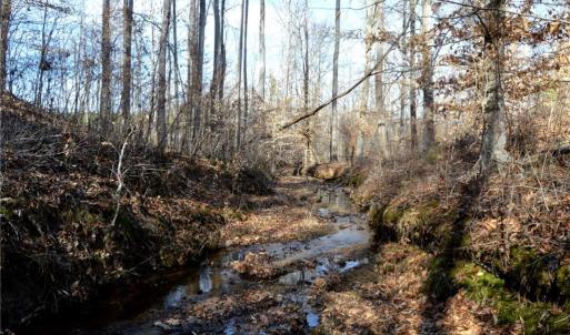 Photo #21 of Off of NC Highway 700, Pelham, NC 116.9 acres