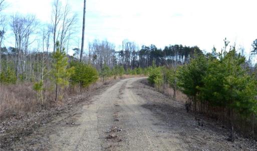 Photo #29 of Off of NC Highway 700, Pelham, NC 116.9 acres