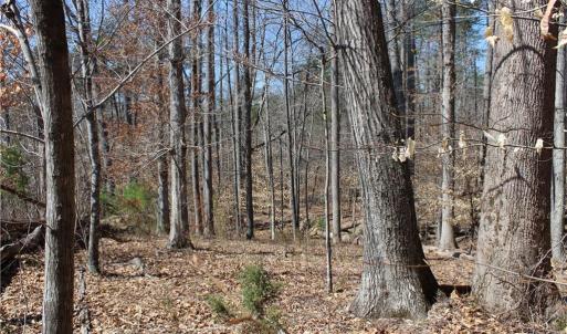 Photo #23 of Jones, Reidsville, NC 60.5 acres