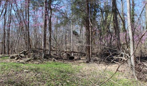 Photo #27 of Jones, Reidsville, NC 60.5 acres