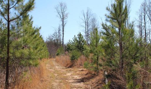 Photo #2 of Jones, Reidsville, NC 60.5 acres