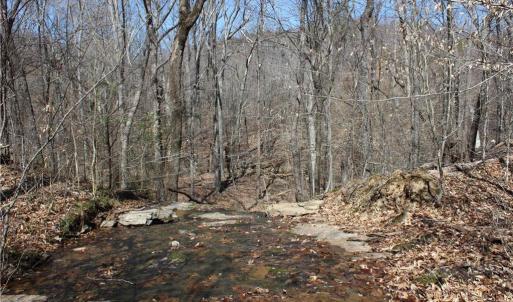 Photo #17 of Jones, Reidsville, NC 60.5 acres