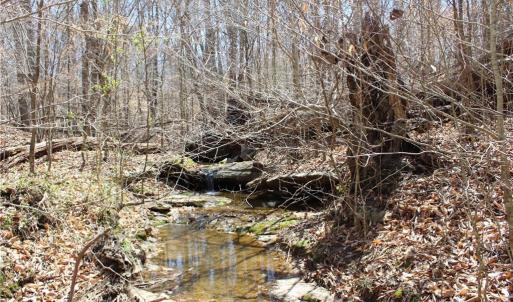 Photo #16 of Jones, Reidsville, NC 60.5 acres