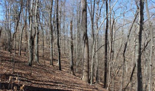 Photo #12 of Jones, Reidsville, NC 60.5 acres