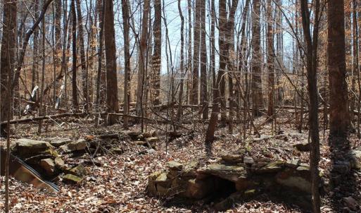 Photo #22 of Jones, Reidsville, NC 60.5 acres