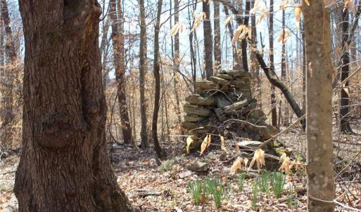 Photo #7 of Jones, Reidsville, NC 60.5 acres