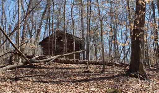 Photo #20 of Jones, Reidsville, NC 60.5 acres