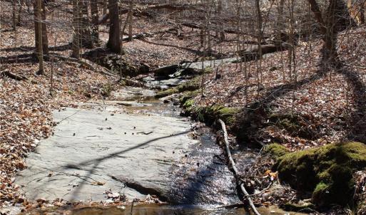 Photo #9 of Jones, Reidsville, NC 60.5 acres