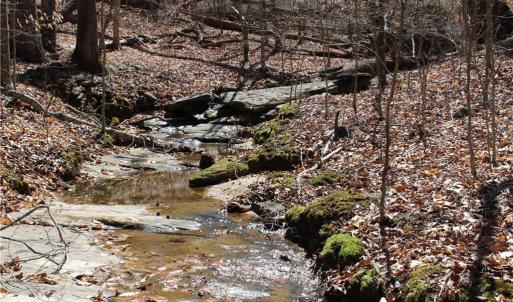 Photo #10 of Jones, Reidsville, NC 60.5 acres