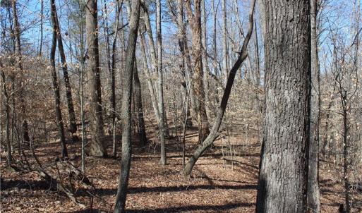Photo #14 of Jones, Reidsville, NC 60.5 acres