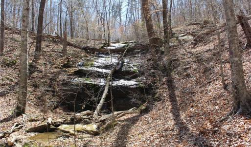 Photo #18 of Jones, Reidsville, NC 60.5 acres
