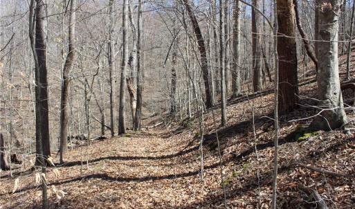 Photo #15 of Jones, Reidsville, NC 60.5 acres