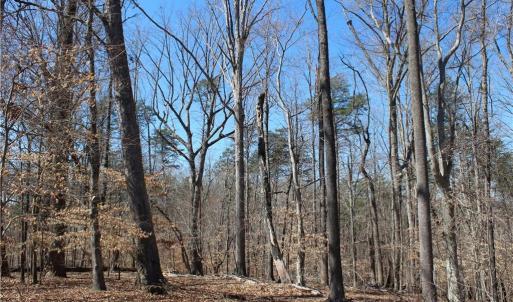 Photo #11 of Jones, Reidsville, NC 60.5 acres