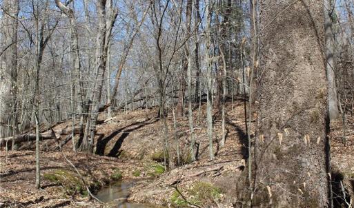 Photo #8 of Jones, Reidsville, NC 60.5 acres