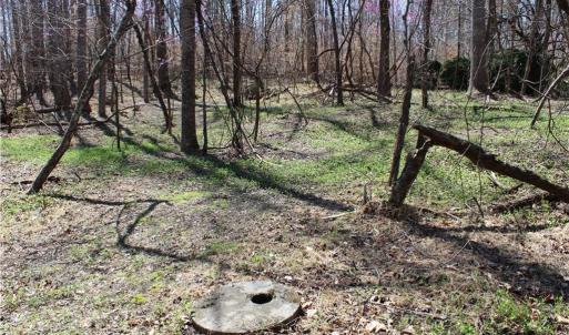 Photo #25 of Jones, Reidsville, NC 60.5 acres