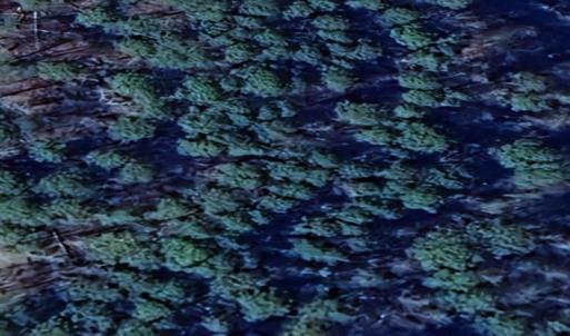 Photo #9 of 144 Heron Bay, New London, NC 0.7 acres