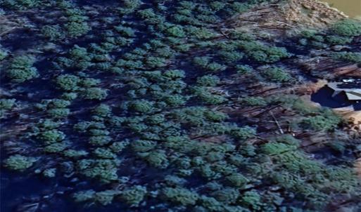 Photo #8 of 144 Heron Bay, New London, NC 0.7 acres