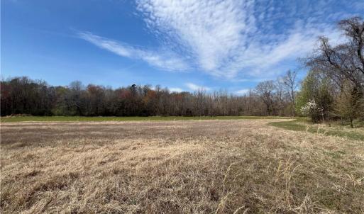 Photo #31 of 44 +/- AC Island, Madison, NC 44.0 acres