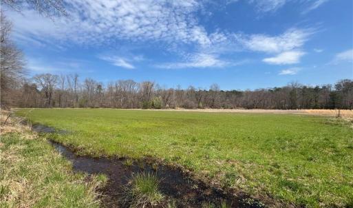 Photo #29 of 44 +/- AC Island, Madison, NC 44.0 acres