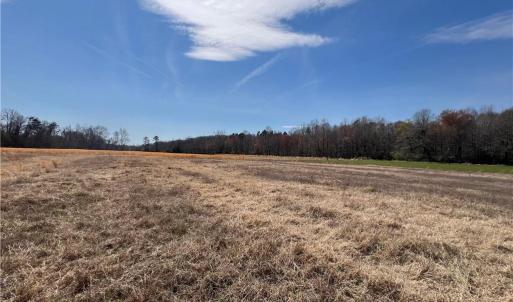 Photo #30 of 44 +/- AC Island, Madison, NC 44.0 acres
