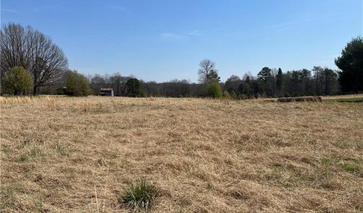 Photo #6 of 44 +/- AC Island, Madison, NC 44.0 acres