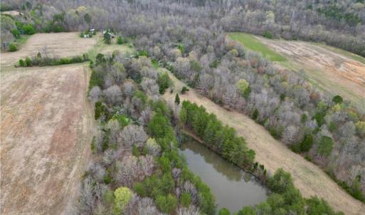 Photo #46 of 44 +/- AC Island, Madison, NC 44.0 acres