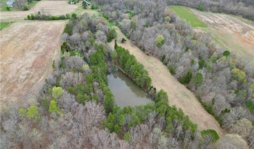 Photo #47 of 44 +/- AC Island, Madison, NC 44.0 acres