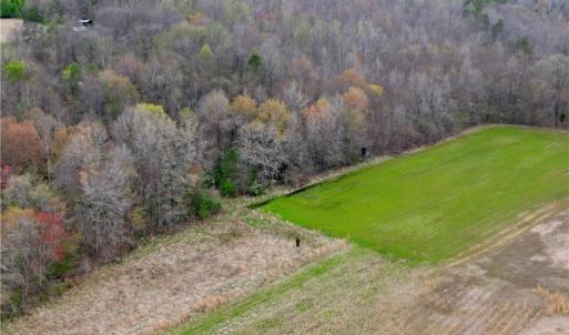 Photo #43 of 44 +/- AC Island, Madison, NC 44.0 acres