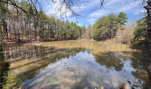 Photo #26 of 44 +/- AC Island, Madison, NC 44.0 acres