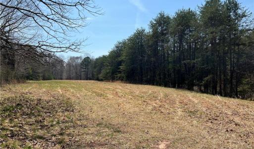 Photo #22 of 44 +/- AC Island, Madison, NC 44.0 acres