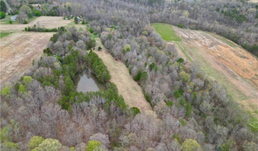 Photo #36 of 44 +/- AC Island, Madison, NC 44.0 acres