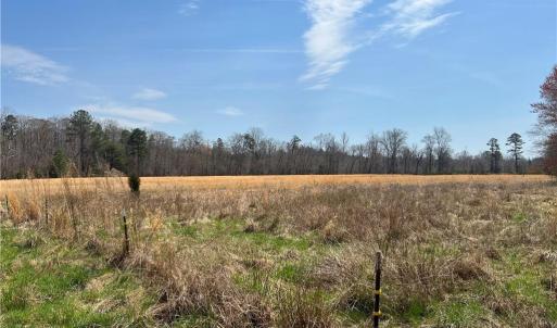 Photo #32 of 44 +/- AC Island, Madison, NC 44.0 acres