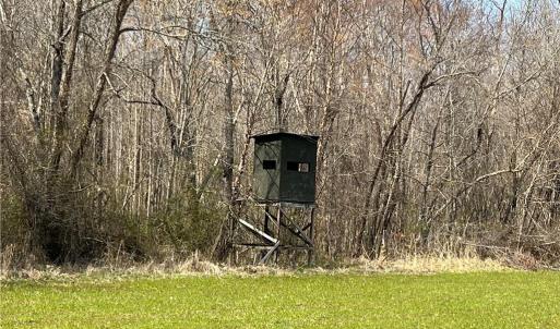 Many signs of wildlife