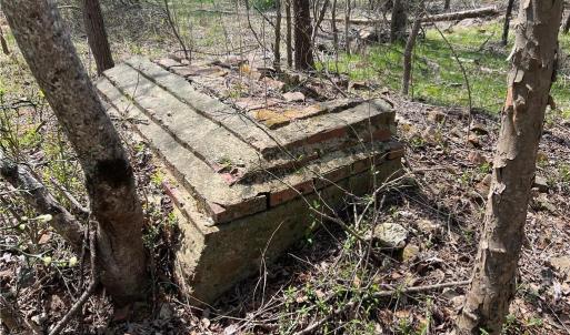 Remnants of chimney from an old homesite