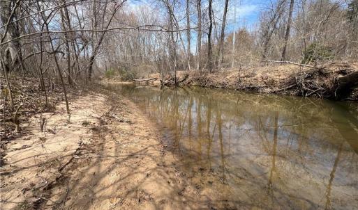 Photo #34 of 44 +/- AC Island, Madison, NC 44.0 acres